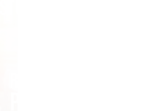School Banner Logo | Treat Children Fairly