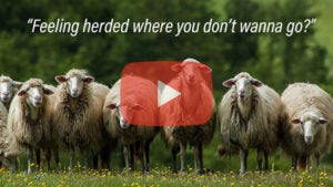 Feeling Herded | Watch Now | First Liberty