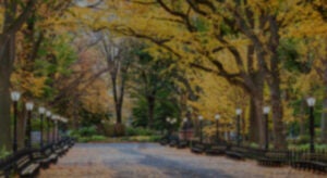 Gabriel Olivier | First Liberty Institute