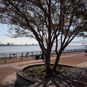 New Orleans Woldenberg Park