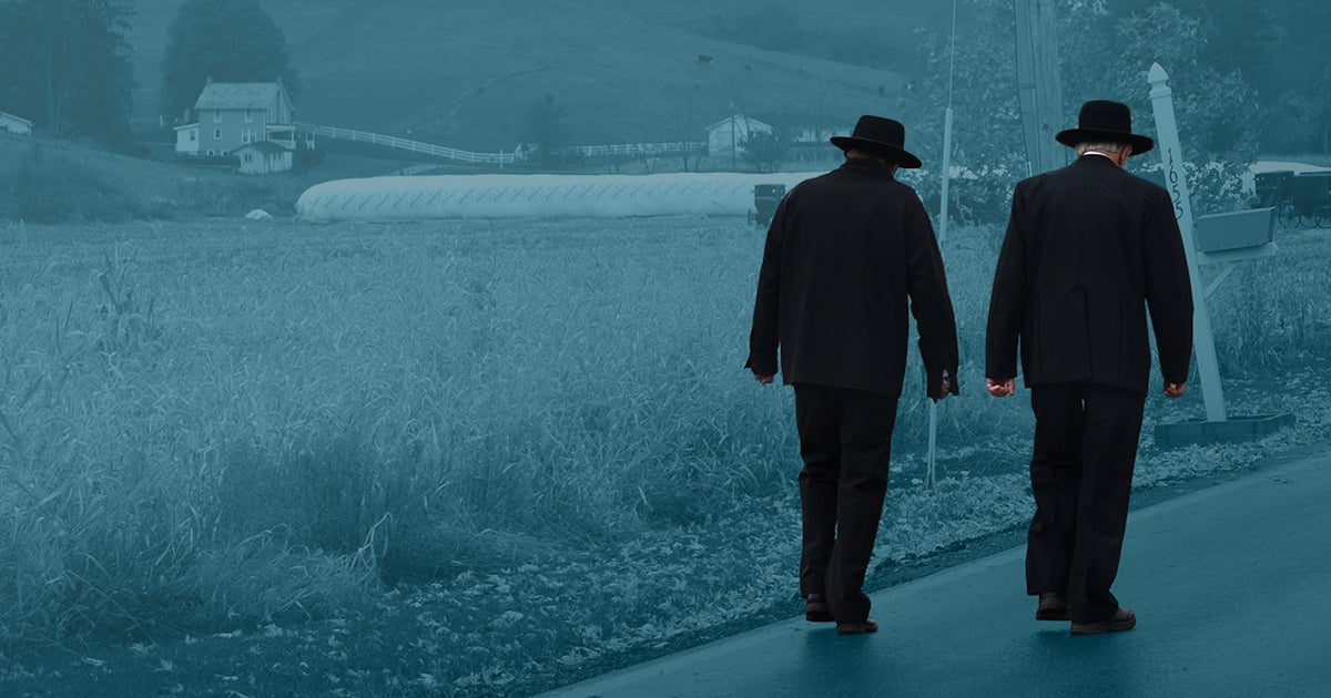 Amish | FLI Insider